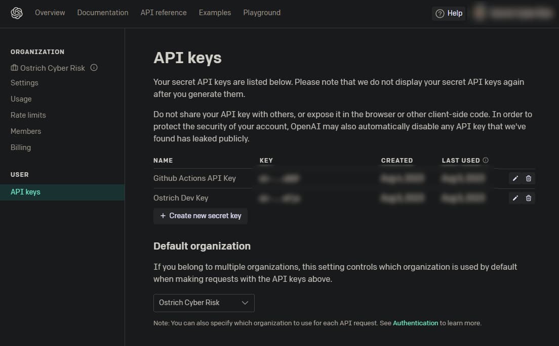 Api Keys page on OpenAI